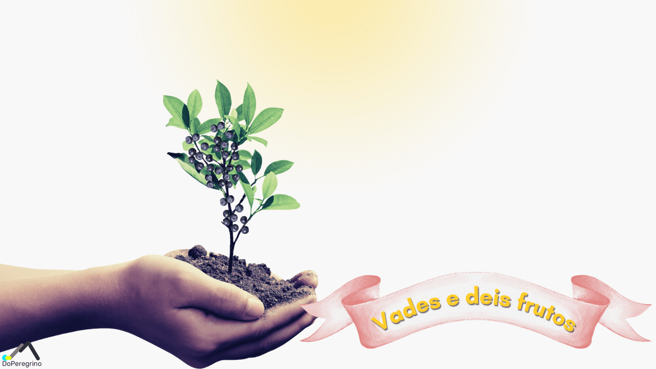 Parábola do Semeador e a Salvação