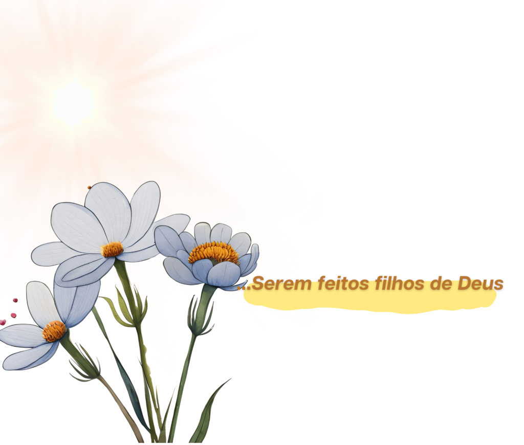Filhos Gerados por Deus – Imagem retrata uma luz incidindo sobre algumas flores brancas indicando comunicação de vida.