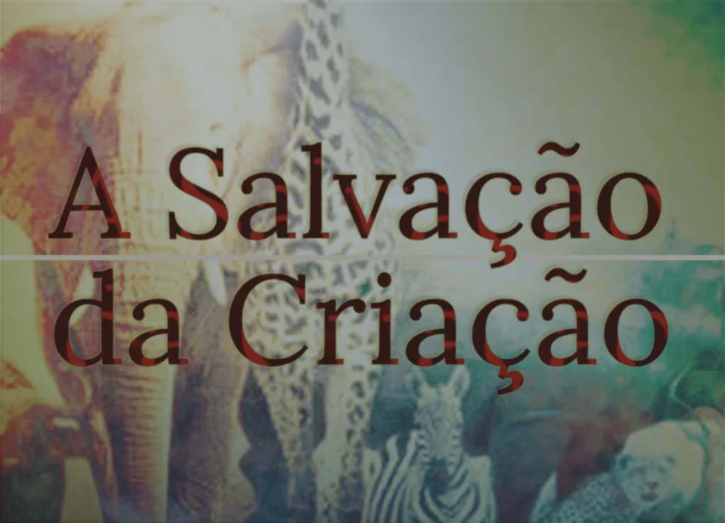 salvacao da criacao post review A Salvação da Criação – Robert Govett